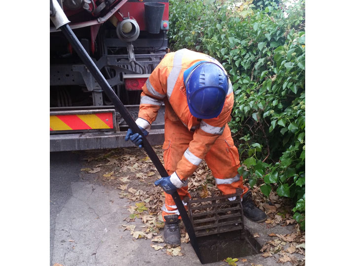 GEWS Ltd Domestic Services - Rootcutting